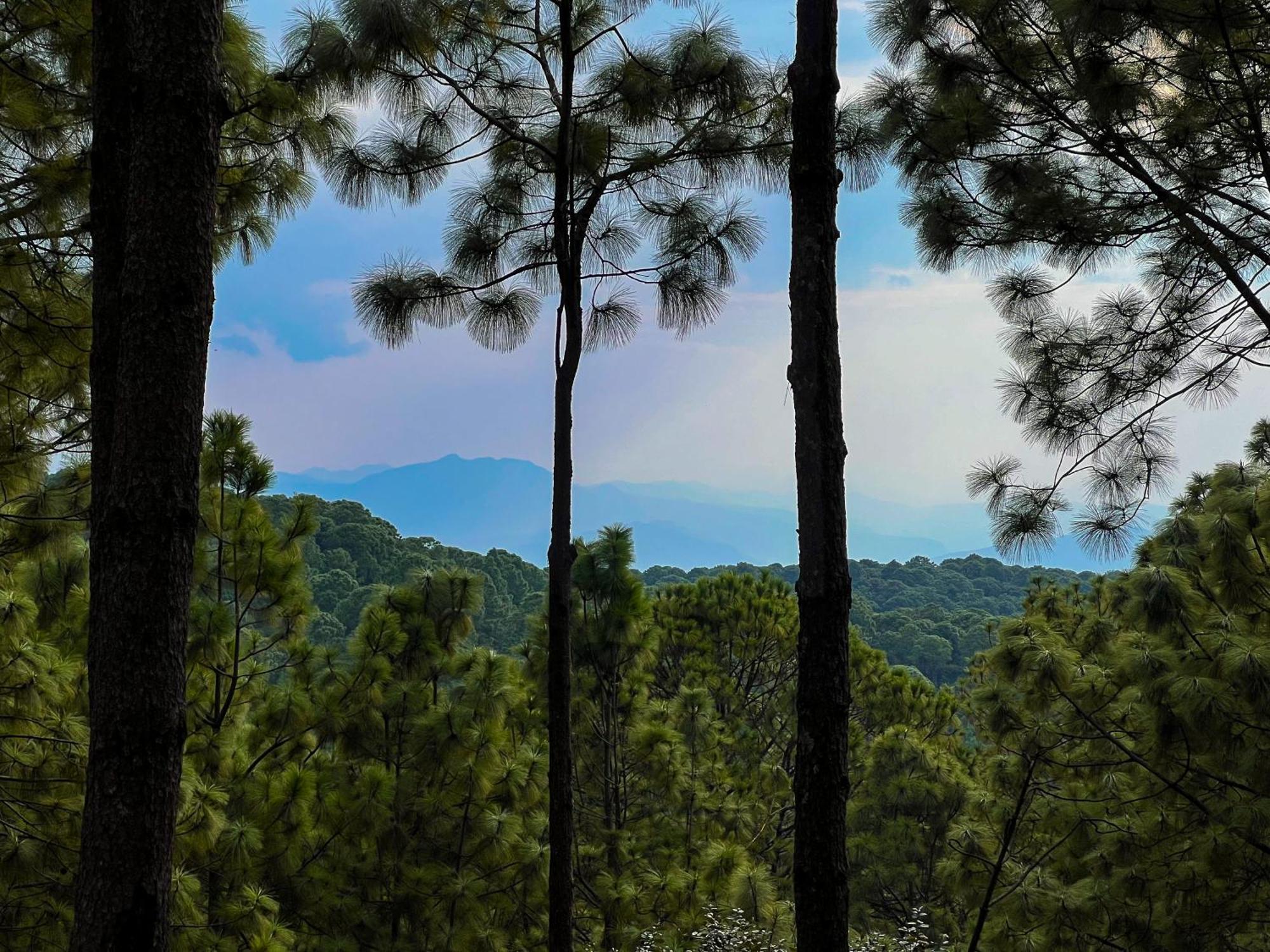 Tres Lunas Domo Mazamitla Buitenkant foto